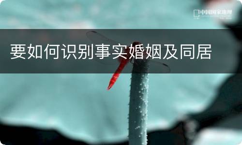 要如何识别事实婚姻及同居