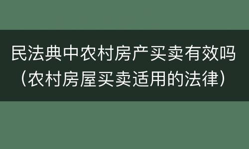 民法典中农村房产买卖有效吗（农村房屋买卖适用的法律）