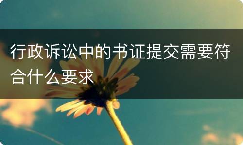 行政诉讼中的书证提交需要符合什么要求