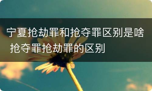 宁夏抢劫罪和抢夺罪区别是啥 抢夺罪抢劫罪的区别