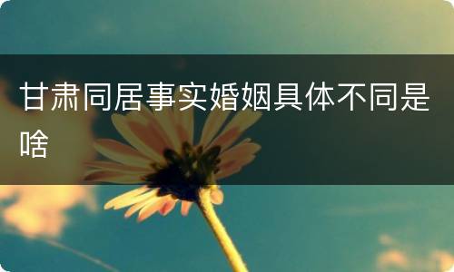 甘肃同居事实婚姻具体不同是啥