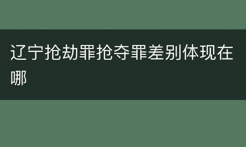 辽宁抢劫罪抢夺罪差别体现在哪