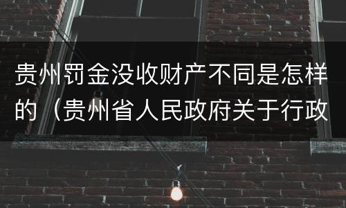 贵州罚金没收财产不同是怎样的（贵州省人民政府关于行政处罚较大数额罚款标准的规定）