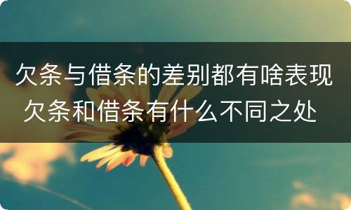 欠条与借条的差别都有啥表现 欠条和借条有什么不同之处