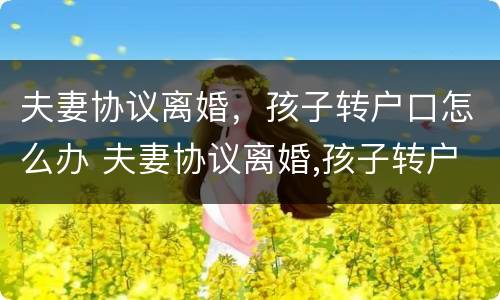 夫妻协议离婚，孩子转户口怎么办 夫妻协议离婚,孩子转户口怎么办理