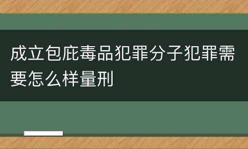 成立包庇毒品犯罪分子犯罪需要怎么样量刑