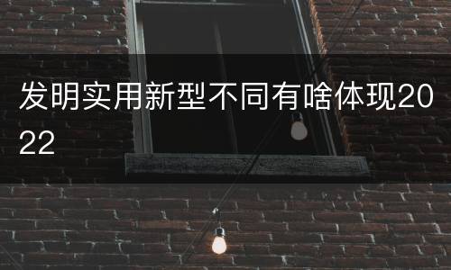发明实用新型不同有啥体现2022