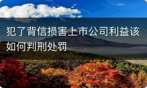 犯了背信损害上市公司利益该如何判刑处罚