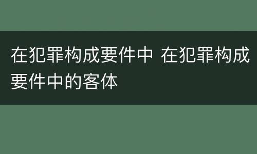 在犯罪构成要件中 在犯罪构成要件中的客体
