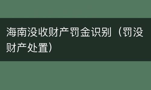 海南没收财产罚金识别（罚没财产处置）