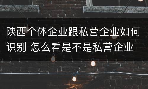 陕西个体企业跟私营企业如何识别 怎么看是不是私营企业