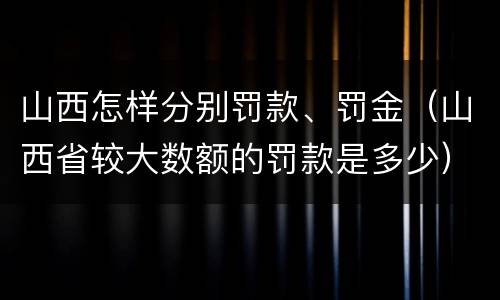 山西怎样分别罚款、罚金（山西省较大数额的罚款是多少）