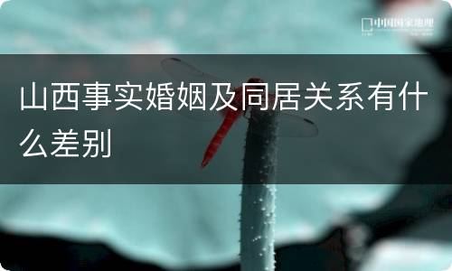 山西事实婚姻及同居关系有什么差别