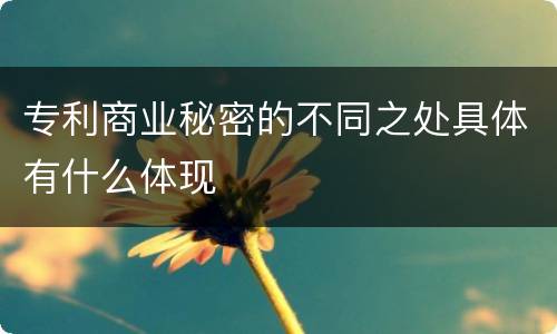 专利商业秘密的不同之处具体有什么体现
