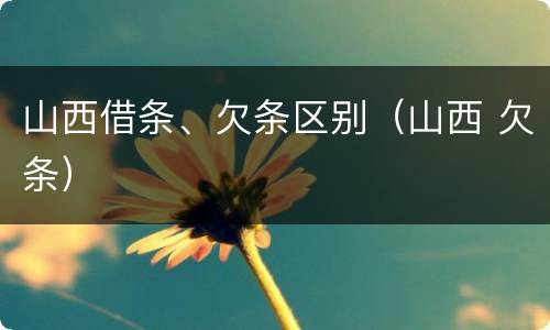 山西借条、欠条区别（山西 欠条）