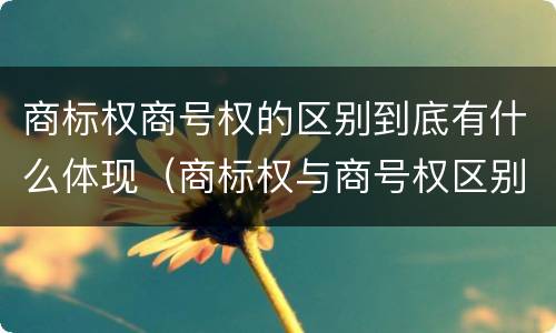 商标权商号权的区别到底有什么体现（商标权与商号权区别）