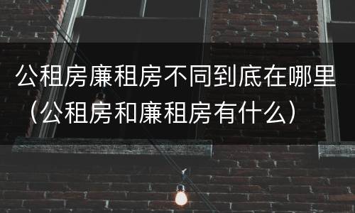 公租房廉租房不同到底在哪里（公租房和廉租房有什么）