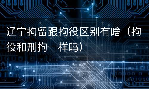 辽宁拘留跟拘役区别有啥（拘役和刑拘一样吗）