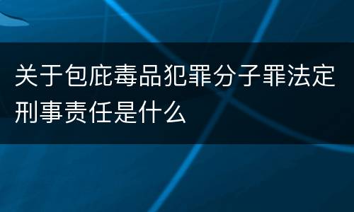 关于包庇毒品犯罪分子罪法定刑事责任是什么
