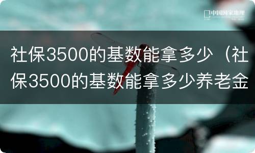 社保3500的基数能拿多少（社保3500的基数能拿多少养老金）