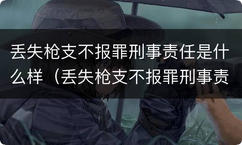 丢失枪支不报罪刑事责任是什么样（丢失枪支不报罪刑事责任是什么样子的）