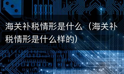 海关补税情形是什么（海关补税情形是什么样的）