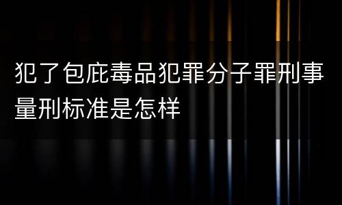 犯了包庇毒品犯罪分子罪刑事量刑标准是怎样