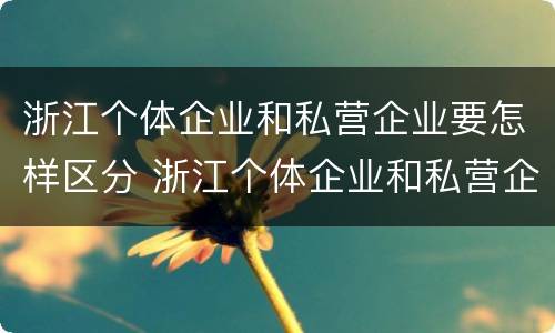 浙江个体企业和私营企业要怎样区分 浙江个体企业和私营企业要怎样区分呢