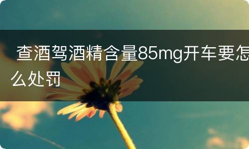  查酒驾酒精含量85mg开车要怎么处罚