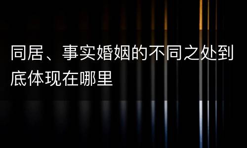 同居、事实婚姻的不同之处到底体现在哪里