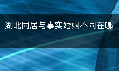 湖北同居与事实婚姻不同在哪