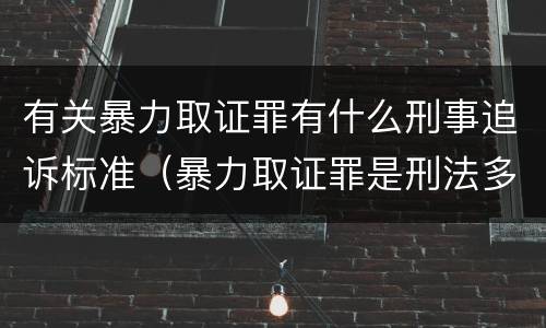 有关暴力取证罪有什么刑事追诉标准（暴力取证罪是刑法多少条）
