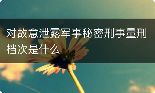 对故意泄露军事秘密刑事量刑档次是什么