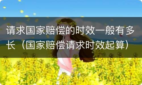请求国家赔偿的时效一般有多长（国家赔偿请求时效起算）