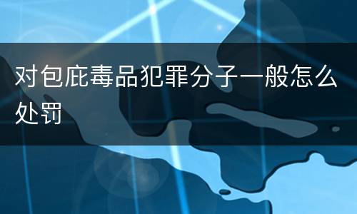 对包庇毒品犯罪分子一般怎么处罚