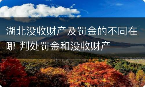 湖北没收财产及罚金的不同在哪 判处罚金和没收财产