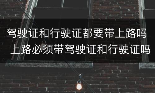 驾驶证和行驶证都要带上路吗 上路必须带驾驶证和行驶证吗