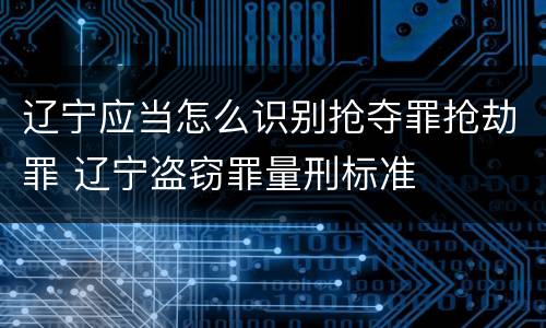 辽宁应当怎么识别抢夺罪抢劫罪 辽宁盗窃罪量刑标准