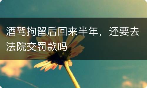 酒驾拘留后回来半年，还要去法院交罚款吗