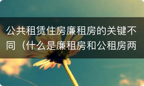 公共租赁住房廉租房的关键不同（什么是廉租房和公租房两个有什么特点）