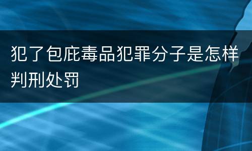 犯了包庇毒品犯罪分子是怎样判刑处罚