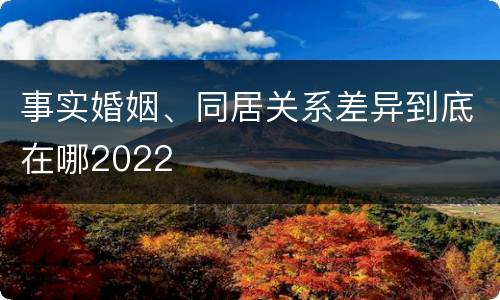 事实婚姻、同居关系差异到底在哪2022