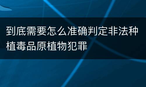 到底需要怎么准确判定非法种植毒品原植物犯罪