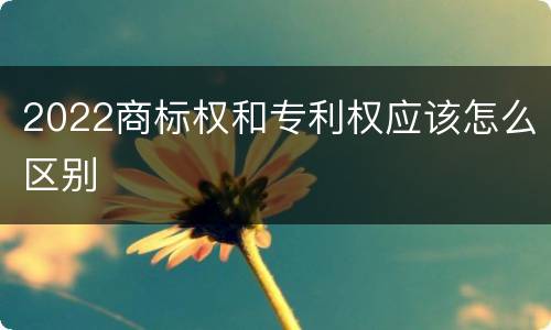 2022商标权和专利权应该怎么区别
