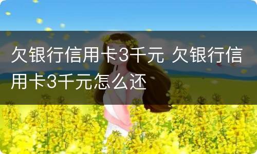 欠银行信用卡3千元 欠银行信用卡3千元怎么还