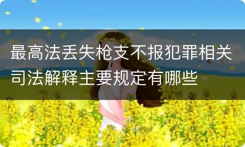 最高法丢失枪支不报犯罪相关司法解释主要规定有哪些