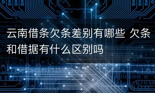 云南借条欠条差别有哪些 欠条和借据有什么区别吗