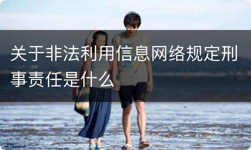 关于非法利用信息网络规定刑事责任是什么