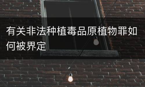有关非法种植毒品原植物罪如何被界定