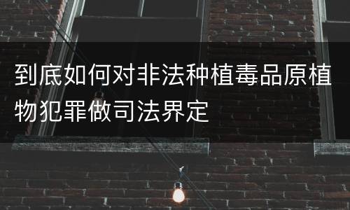 到底如何对非法种植毒品原植物犯罪做司法界定